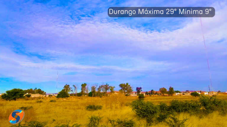 Ambiente frío, con heladas en sierra de Durango.