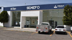 SEMEFO