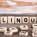 VEERTICAL X.00_00_02_22.Imagen fija005