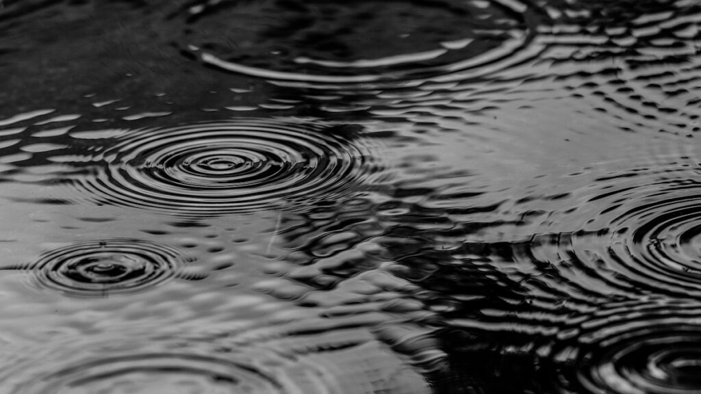 W E B.00_00_00_20.Imagen fija004