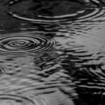 W E B.00_00_00_20.Imagen fija004