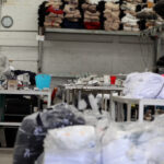 WEB.00_00_00_29.Imagen fija002