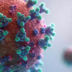 WEB.00_00_01_02.Imagen fija002