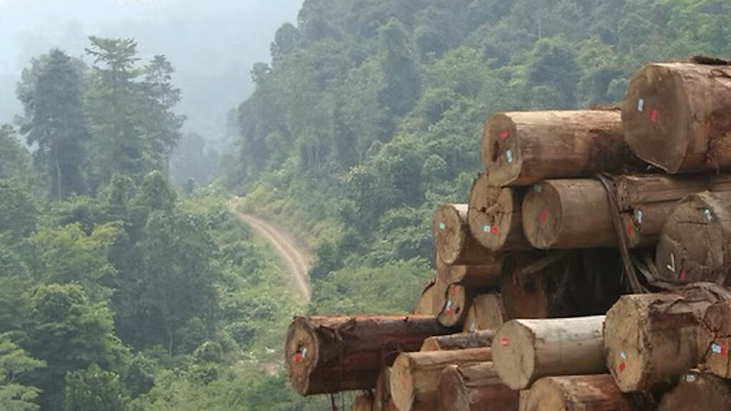 WEB.00_00_01_06.Imagen fija001