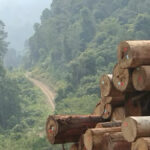 WEB.00_00_01_06.Imagen fija001