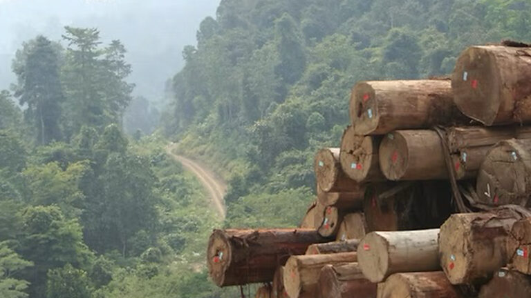 WEB.00_00_01_06.Imagen fija001