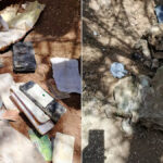 WEB.00_00_01_07.Imagen fija002