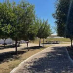 WEB.00_00_01_15.Imagen fija002