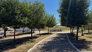 WEB.00_00_01_15.Imagen fija002