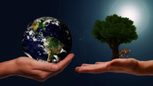 WEB.00_00_01_29.Imagen fija003