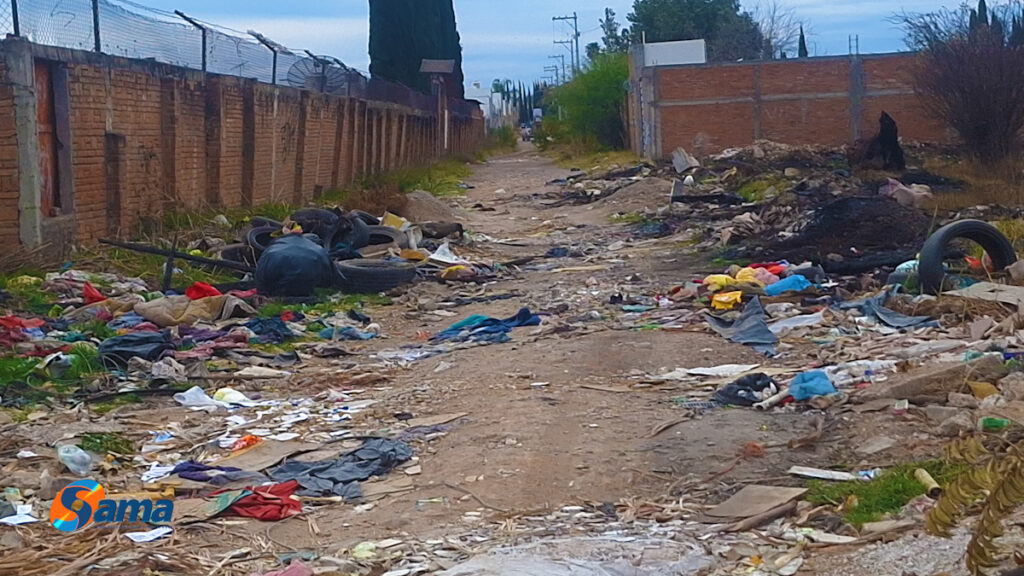 X X X.00_00_01_01.Imagen fija002